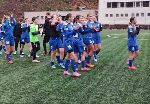 Náhledový obrázek