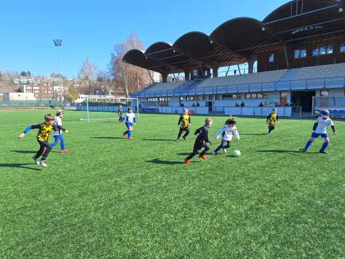 Náhledový obrázek