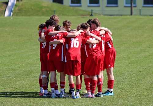 Náhledový obrázek